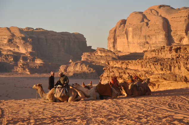 Kamele vorm Wadi Rum