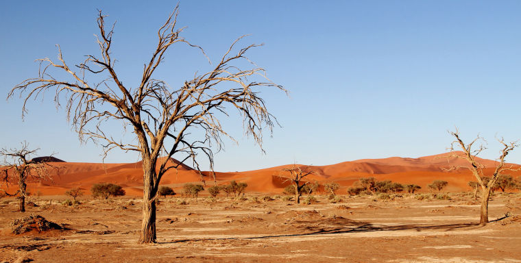 Rote Dünen der Kalahari Wüste mit viel Sand in Namibia
